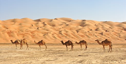 Excursion privée d’une journée complète en 4×4 au meilleur d’Oman à Wahiba Sands